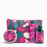 Sugarplum Passion Little Gift