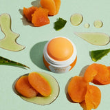 Dôme Parfum Solide Abricot & Agave