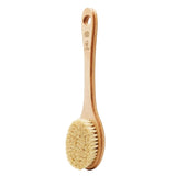 Brosse en Cactus