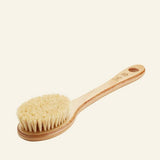 Brosse en Cactus
