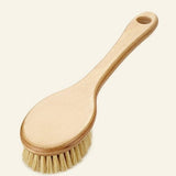 Brosse en Cactus