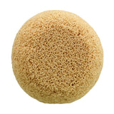 Éponge Ultra-Absorbante