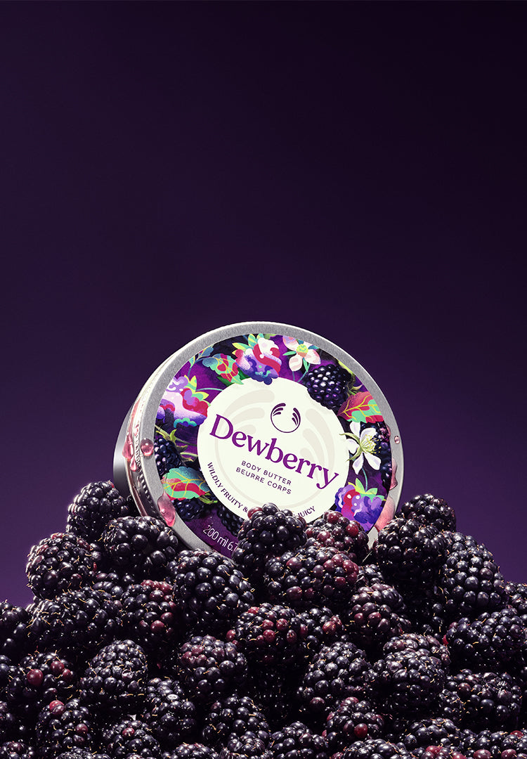 Image de diapositive