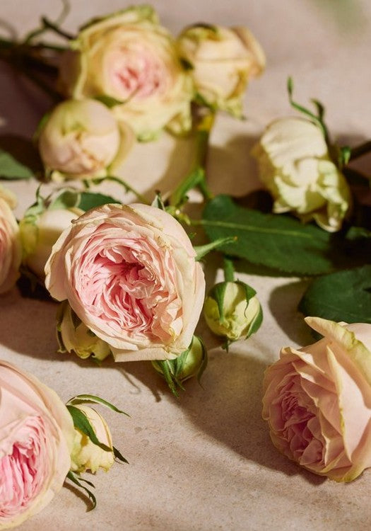 Eau de Parfum Full Rose