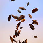 Image de diapositive