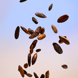 Tender Tonka Essentials Gift