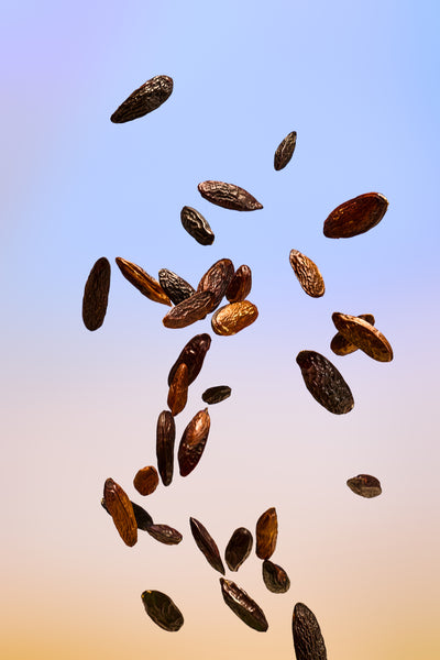 Image de diapositive